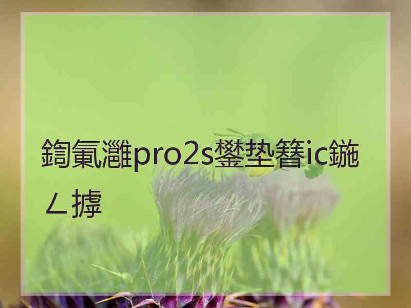 鍧氭灉pro2s鐢垫簮ic鍦ㄥ摢