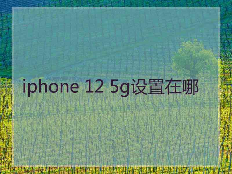 iphone 12 5g设置在哪