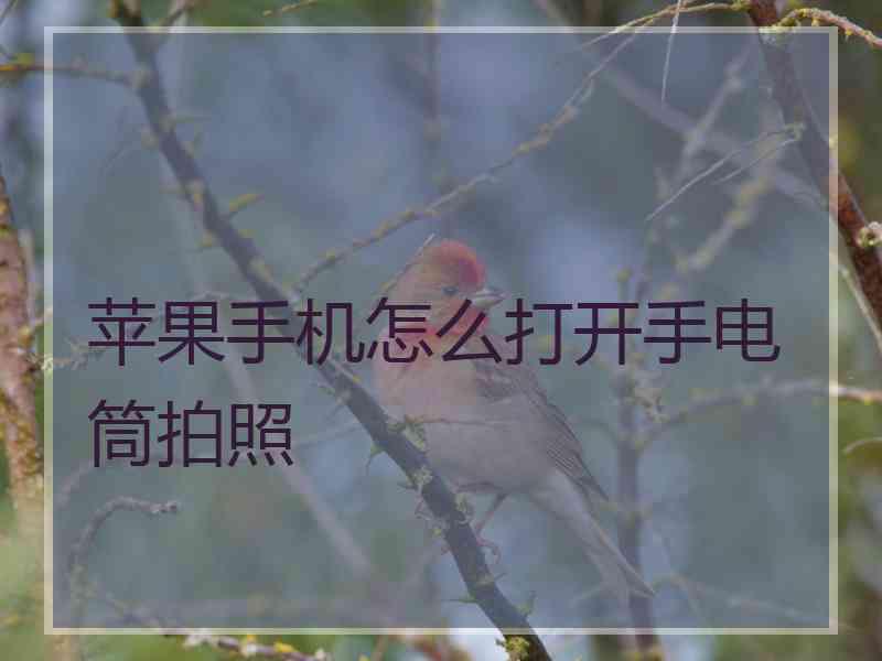 苹果手机怎么打开手电筒拍照