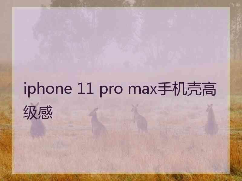 iphone 11 pro max手机壳高级感