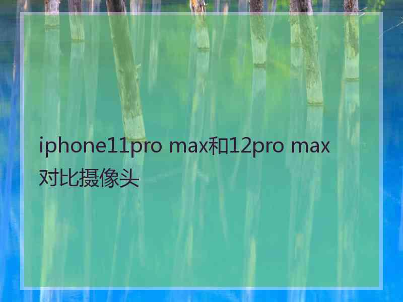 iphone11pro max和12pro max对比摄像头