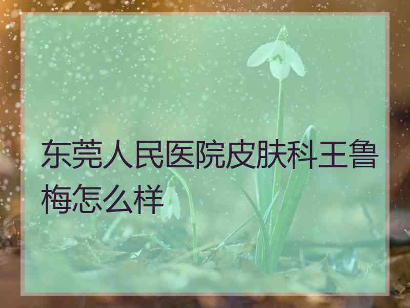 东莞人民医院皮肤科王鲁梅怎么样