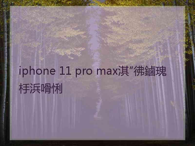 iphone 11 pro max淇″彿鏀瑰杽浜嗗悧