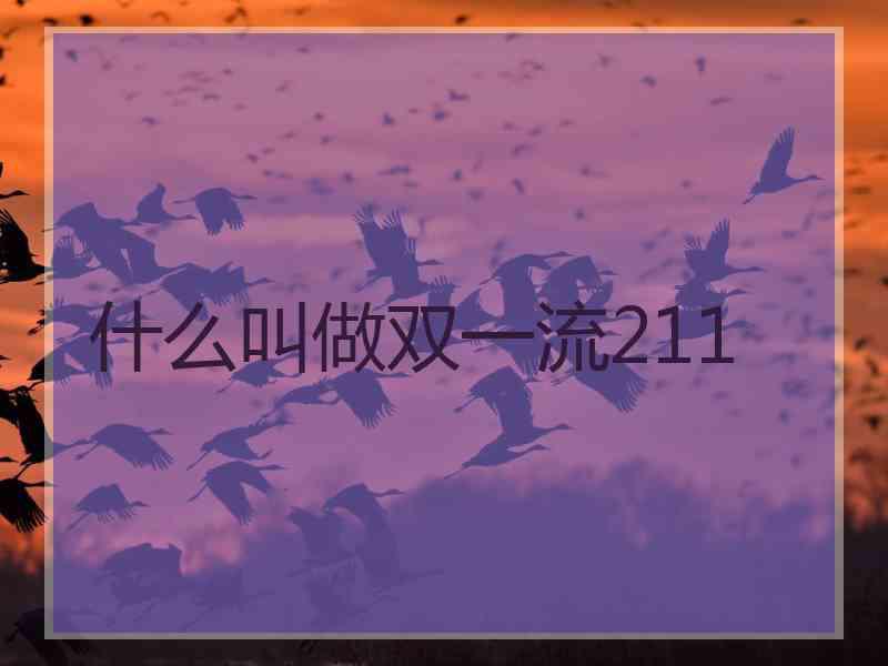 什么叫做双一流211