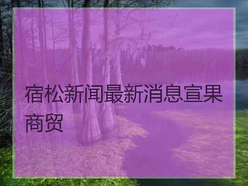 宿松新闻最新消息宣果商贸