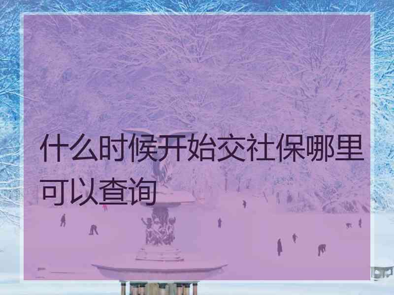 什么时候开始交社保哪里可以查询