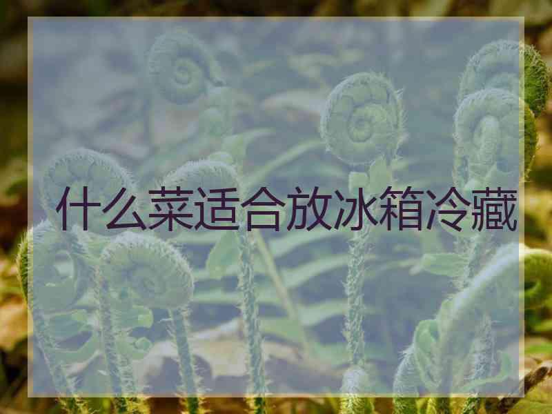 什么菜适合放冰箱冷藏