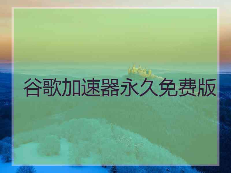 谷歌加速器永久免费版