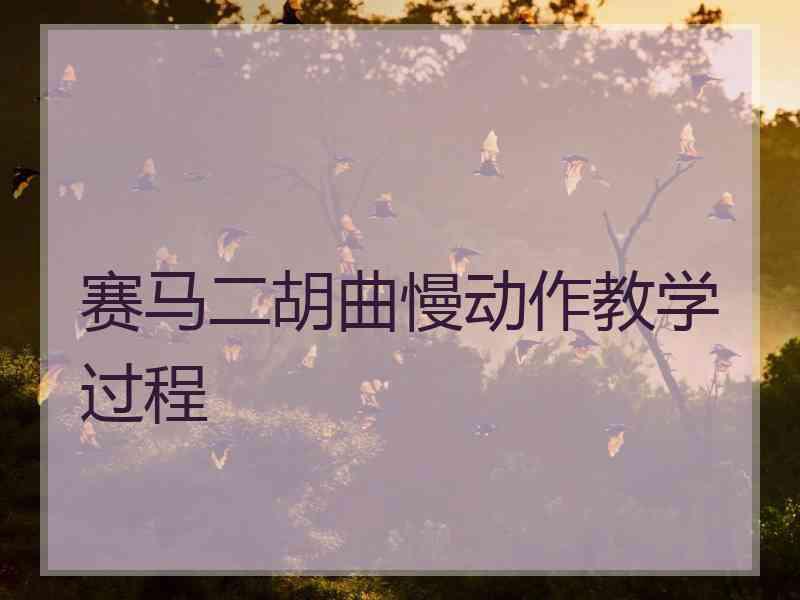 赛马二胡曲慢动作教学过程