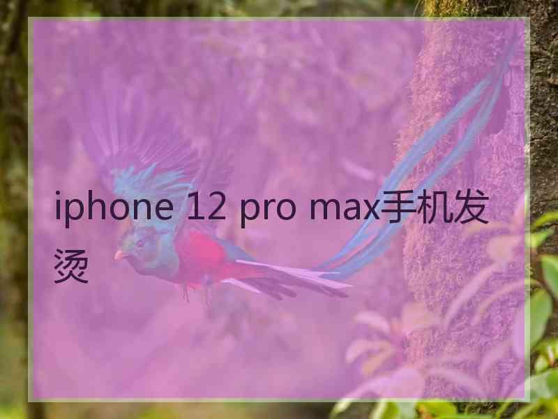 iphone 12 pro max手机发烫