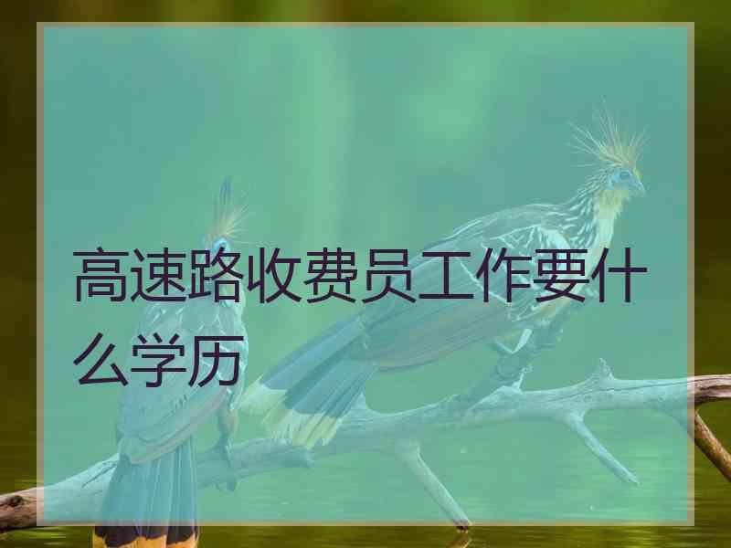 高速路收费员工作要什么学历