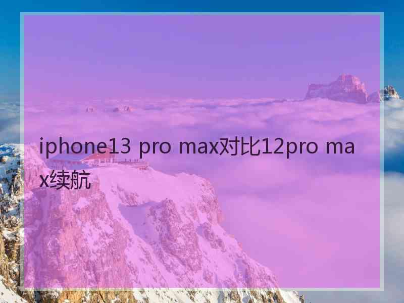 iphone13 pro max对比12pro max续航