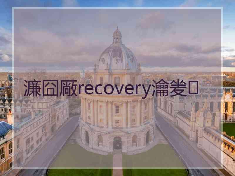 濂囧厰recovery瀹夎