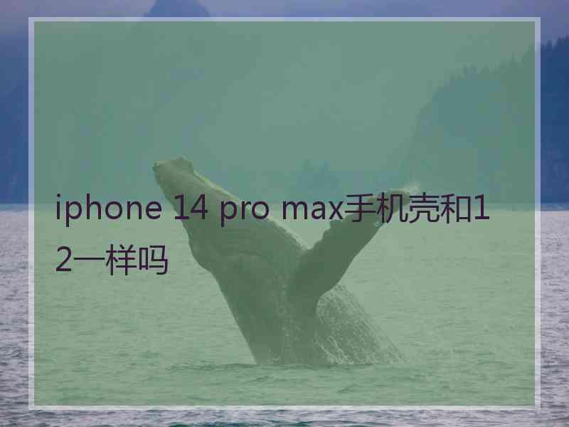 iphone 14 pro max手机壳和12一样吗