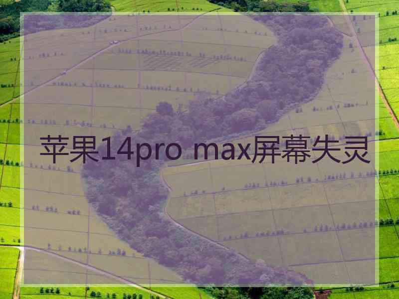 苹果14pro max屏幕失灵