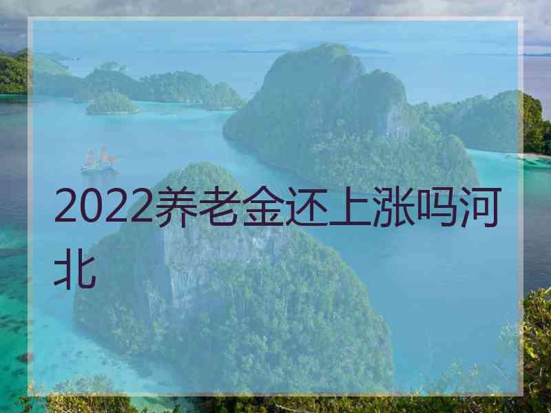 2022养老金还上涨吗河北