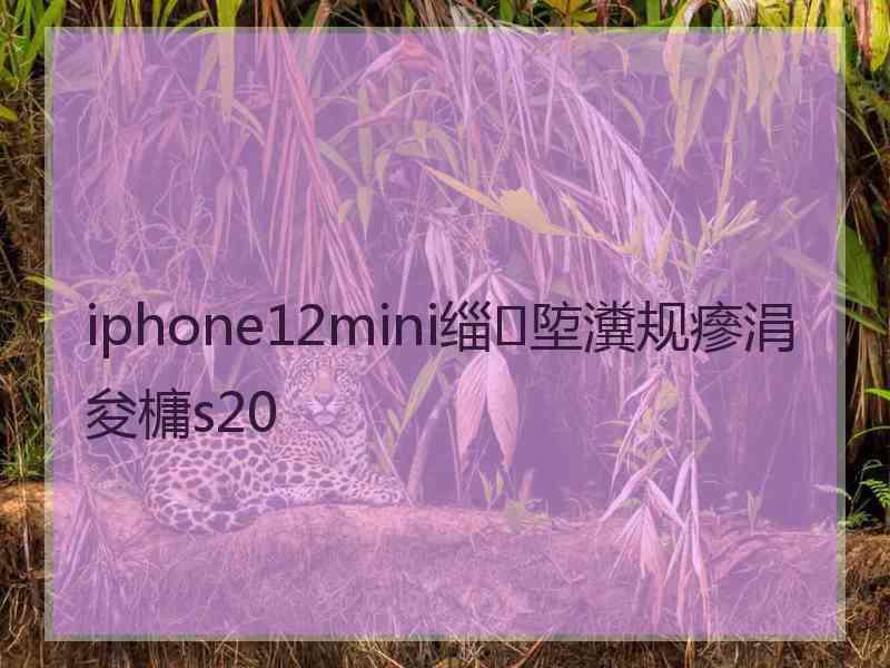 iphone12mini缁埅瀵规瘮涓夋槦s20