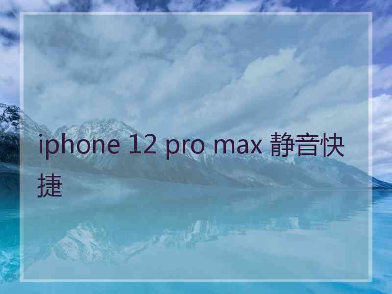 iphone 12 pro max 静音快捷