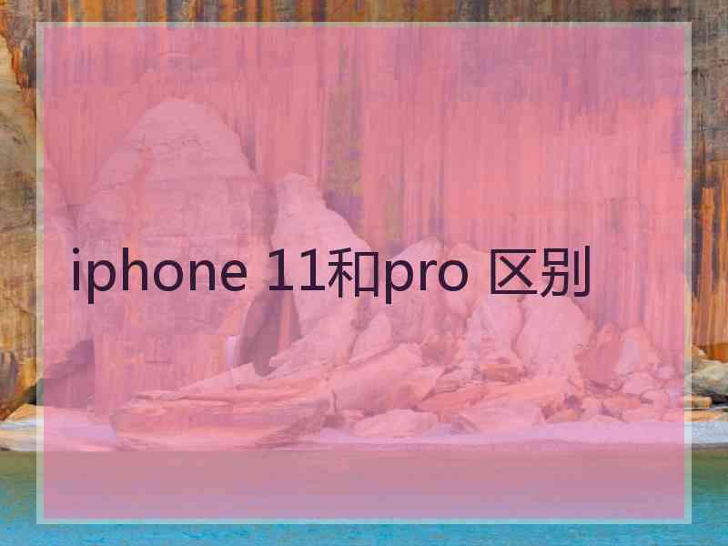 iphone 11和pro 区别