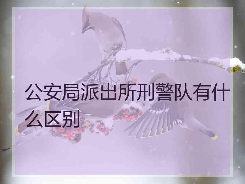 公安局派出所刑警队有什么区别