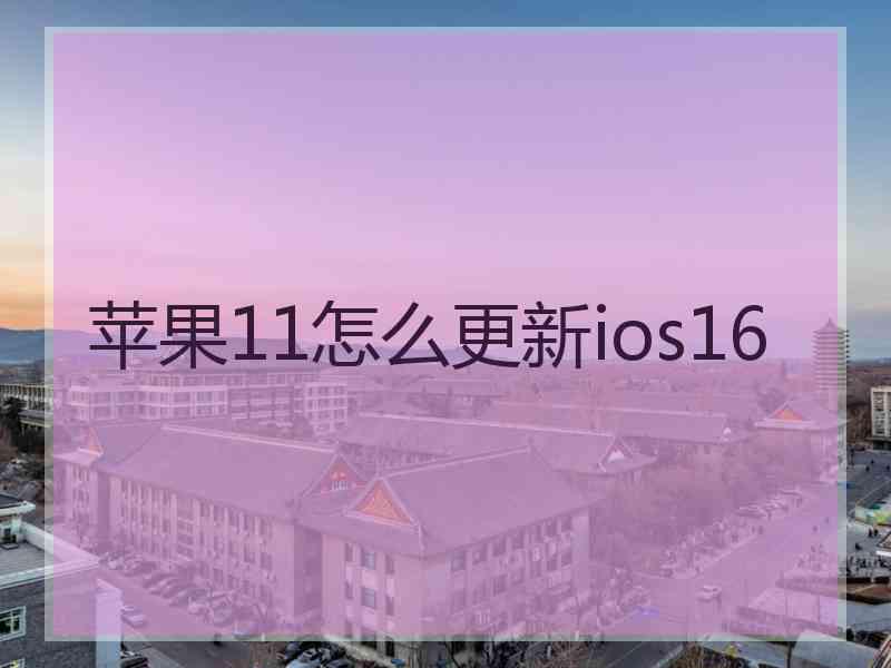 苹果11怎么更新ios16