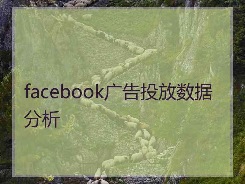 facebook广告投放数据分析