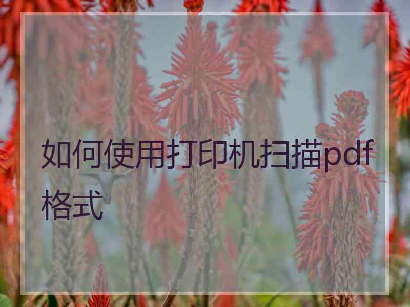 如何使用打印机扫描pdf格式