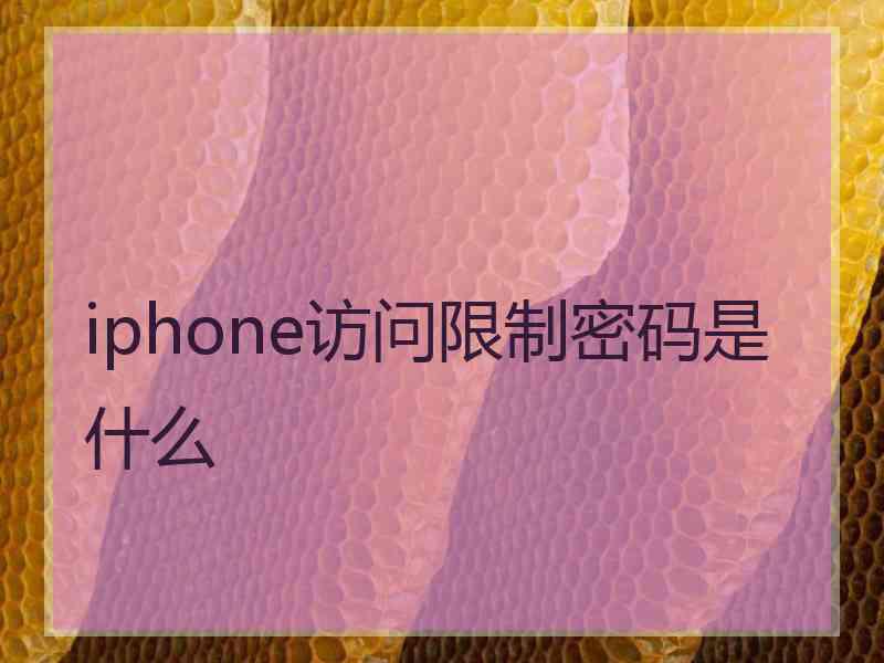 iphone访问限制密码是什么