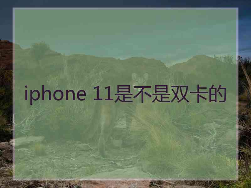 iphone 11是不是双卡的