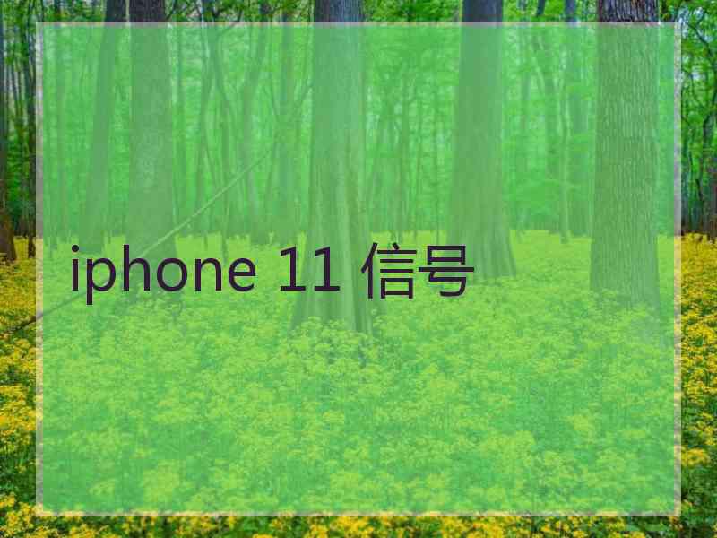 iphone 11 信号