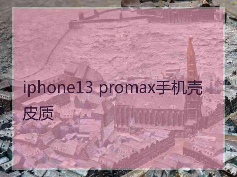 iphone13 promax手机壳皮质