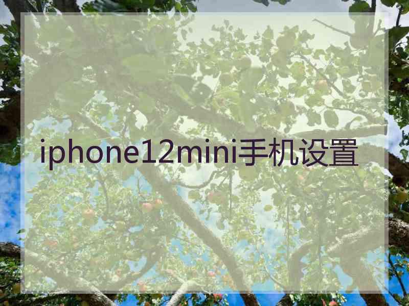 iphone12mini手机设置