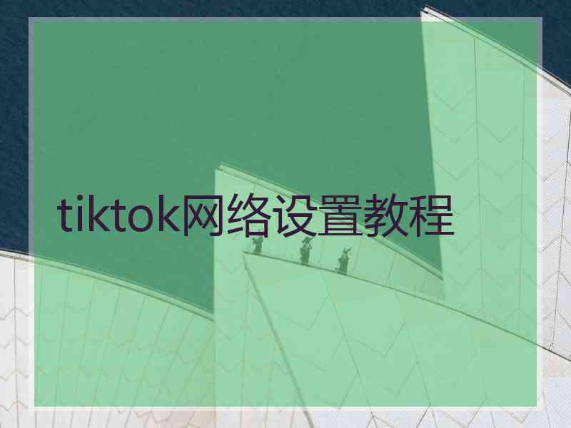 tiktok网络设置教程