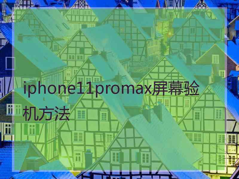 iphone11promax屏幕验机方法