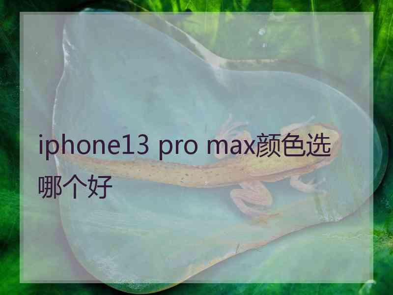 iphone13 pro max颜色选哪个好