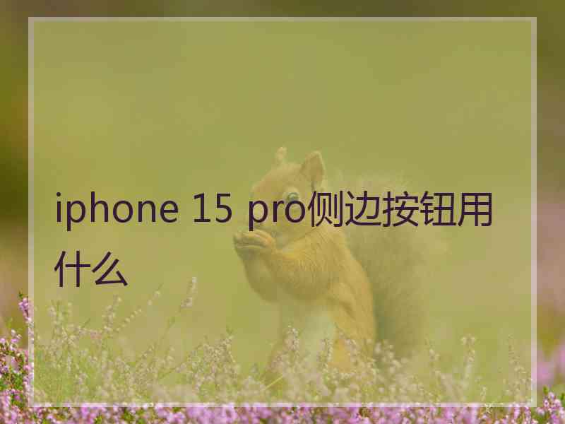 iphone 15 pro侧边按钮用什么