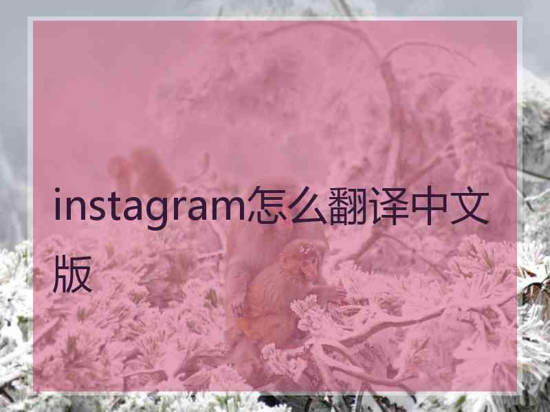 instagram怎么翻译中文版