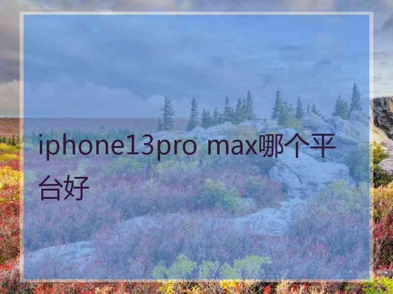 iphone13pro max哪个平台好