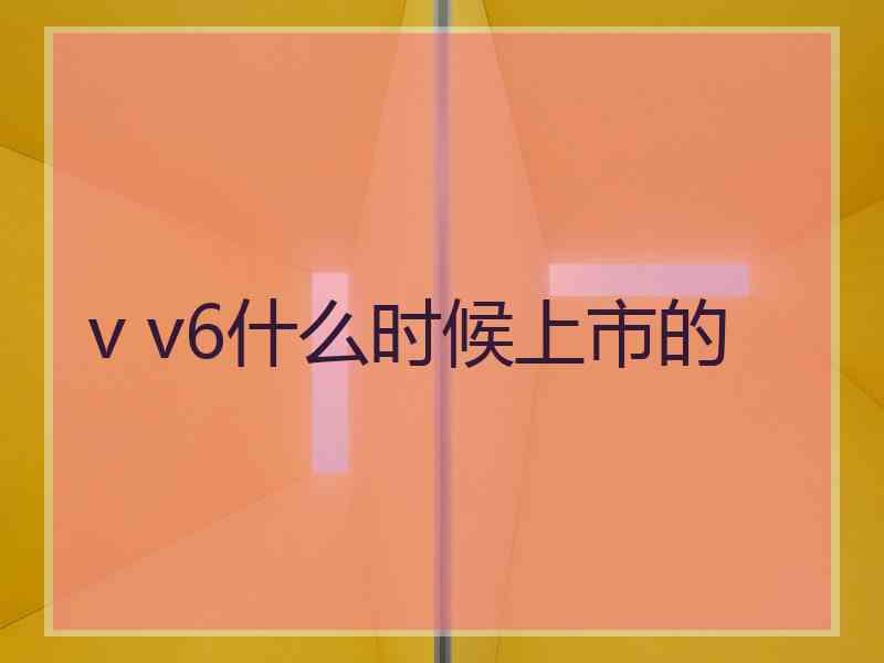 v v6什么时候上市的