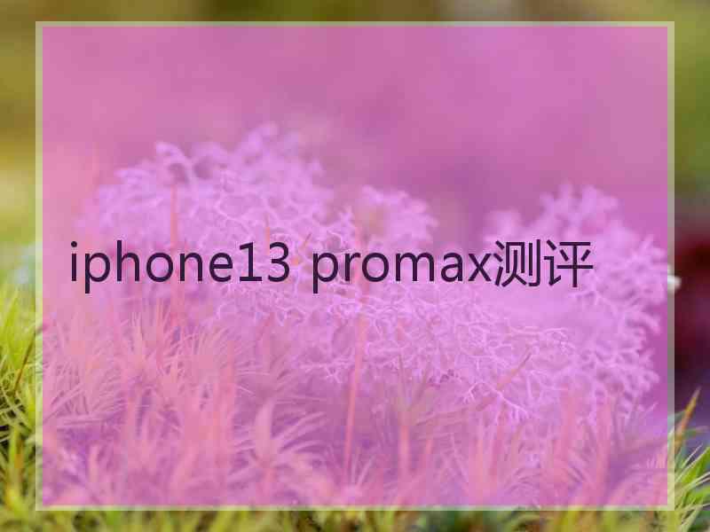 iphone13 promax测评