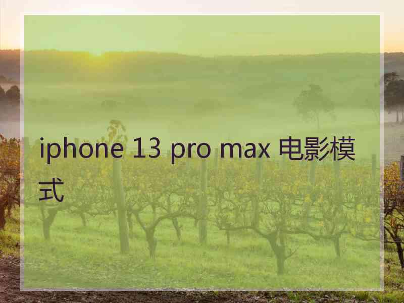 iphone 13 pro max 电影模式