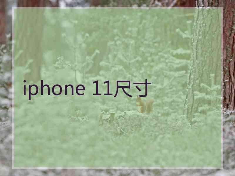 iphone 11尺寸