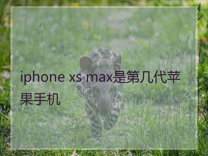 iphone xs max是第几代苹果手机