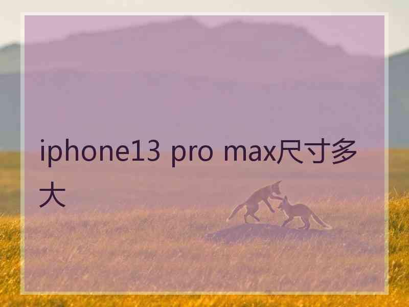 iphone13 pro max尺寸多大