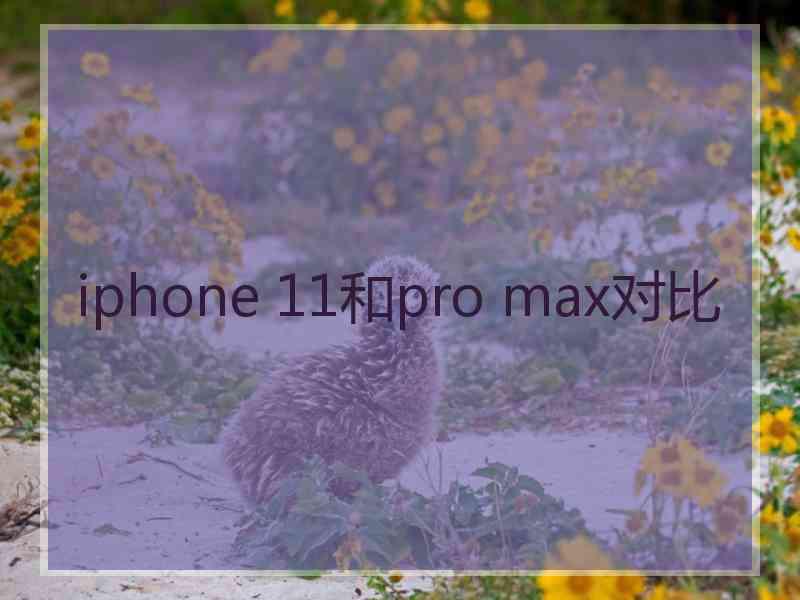 iphone 11和pro max对比