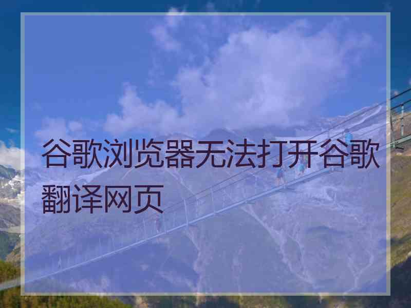 谷歌浏览器无法打开谷歌翻译网页