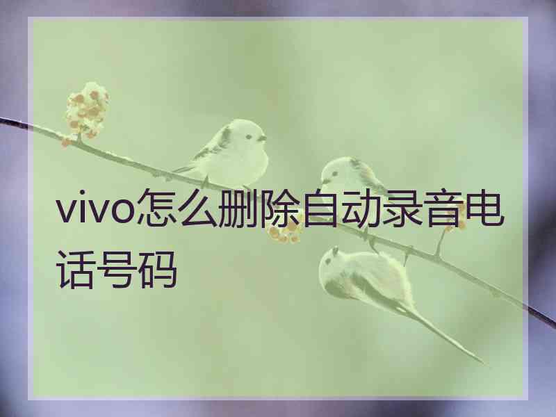 vivo怎么删除自动录音电话号码