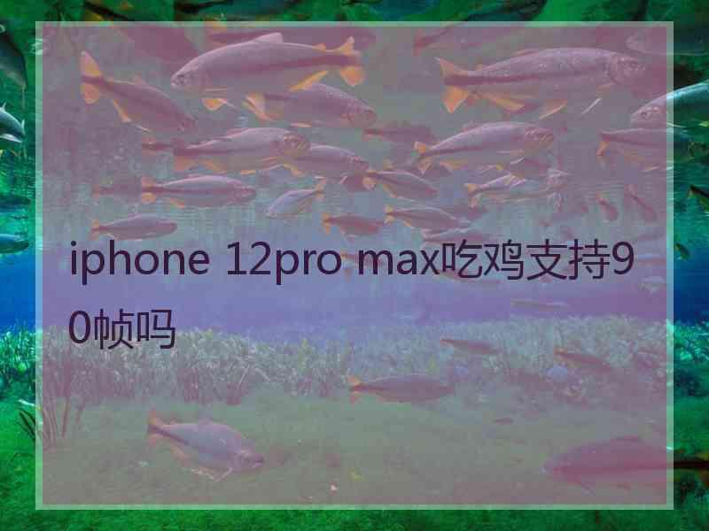 iphone 12pro max吃鸡支持90帧吗