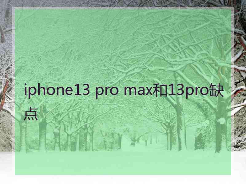 iphone13 pro max和13pro缺点