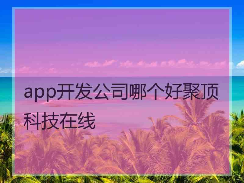 app开发公司哪个好聚顶科技在线